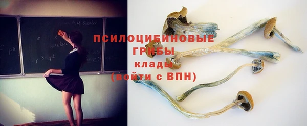 МДМА Богданович